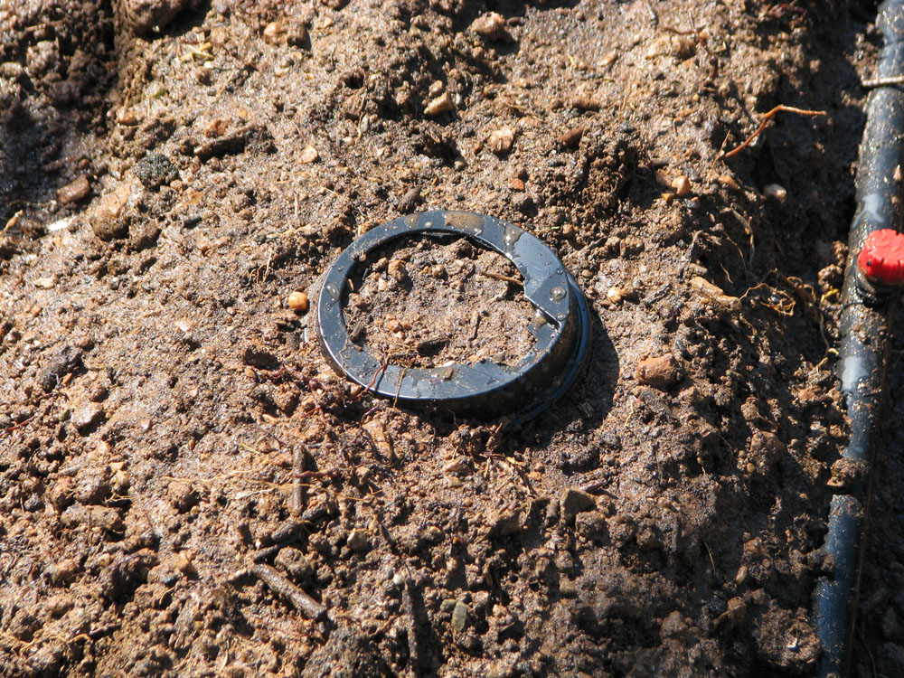 Coffee lid on soil with seeds sowed inside