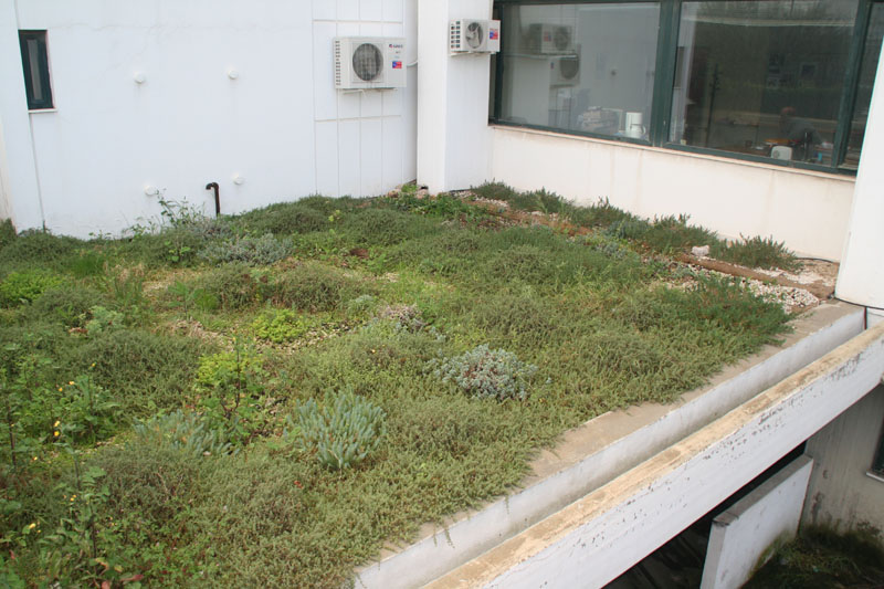 The same roof garden during winter